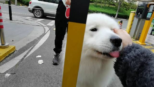美容美发中心培训优秀学员归来...